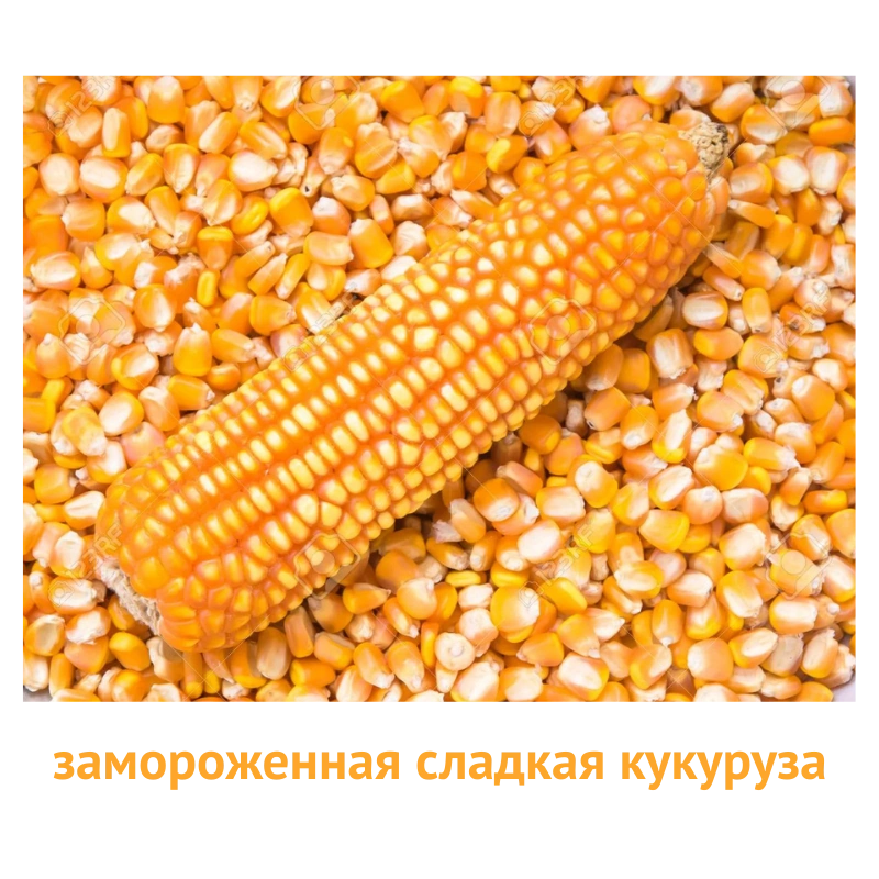 Замороженная кукуруза оптом