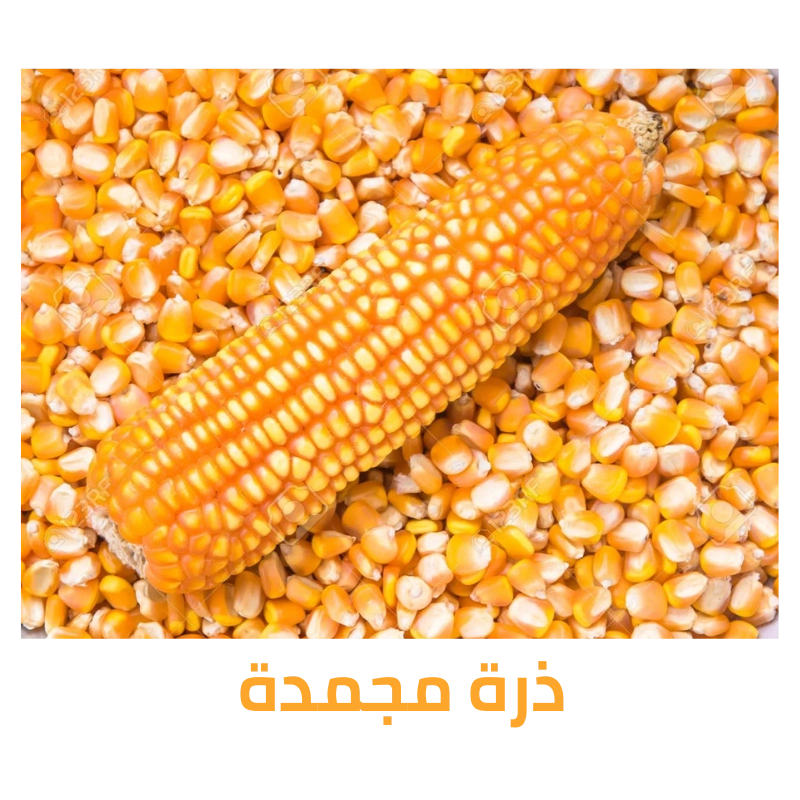 ذرة مجمدة عالية الجودة