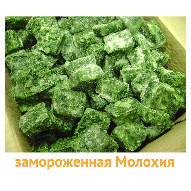 Замороженная молохия из Египта, готовая к экспорту